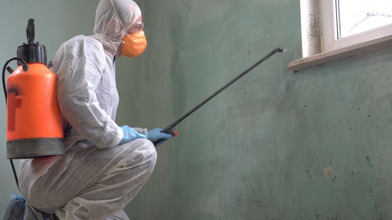 Protective Coatings on Exterior Surfaces